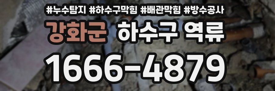 강화군 하수구 역류