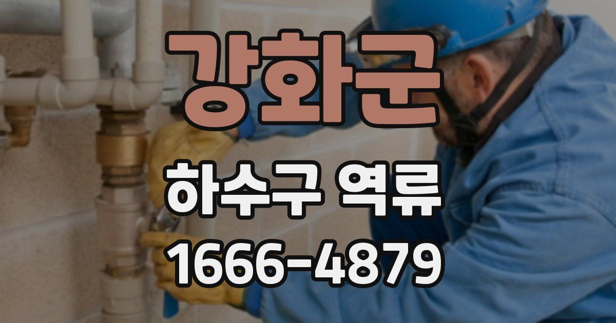 강화군 하수구 역류