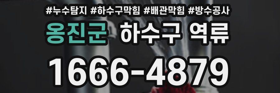 옹진군 하수구 역류