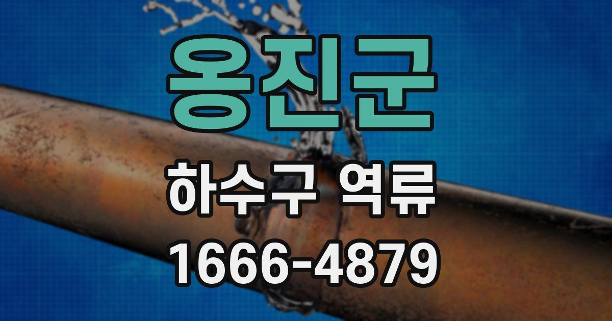 옹진군 하수구 역류