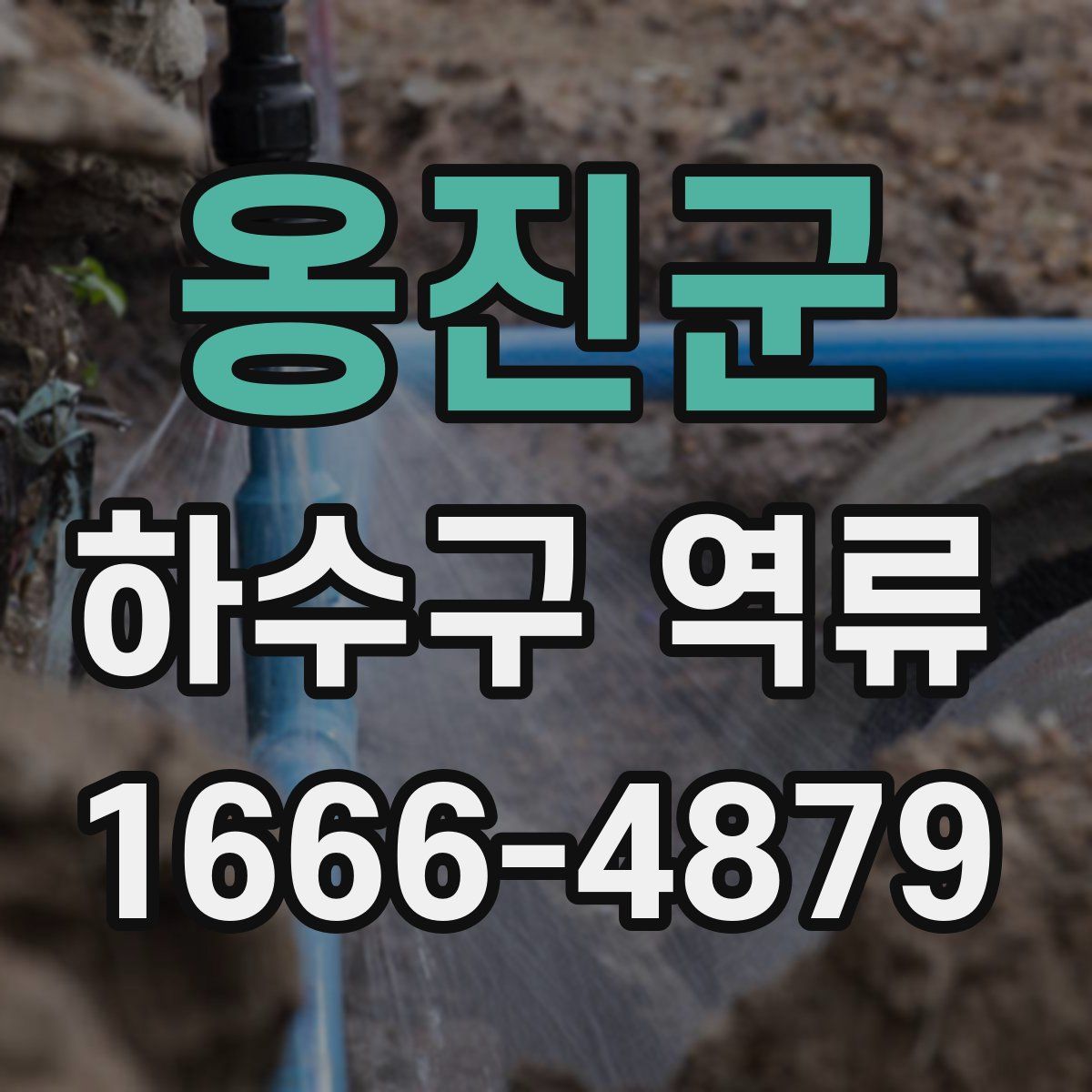 옹진군 하수구 역류