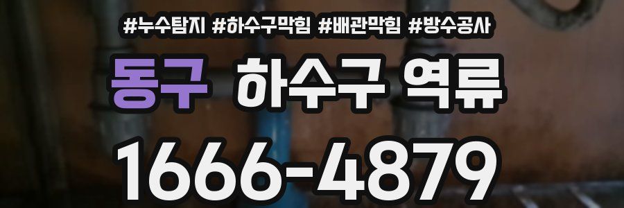 동구 하수구 역류