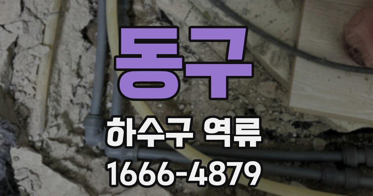 동구 하수구 역류