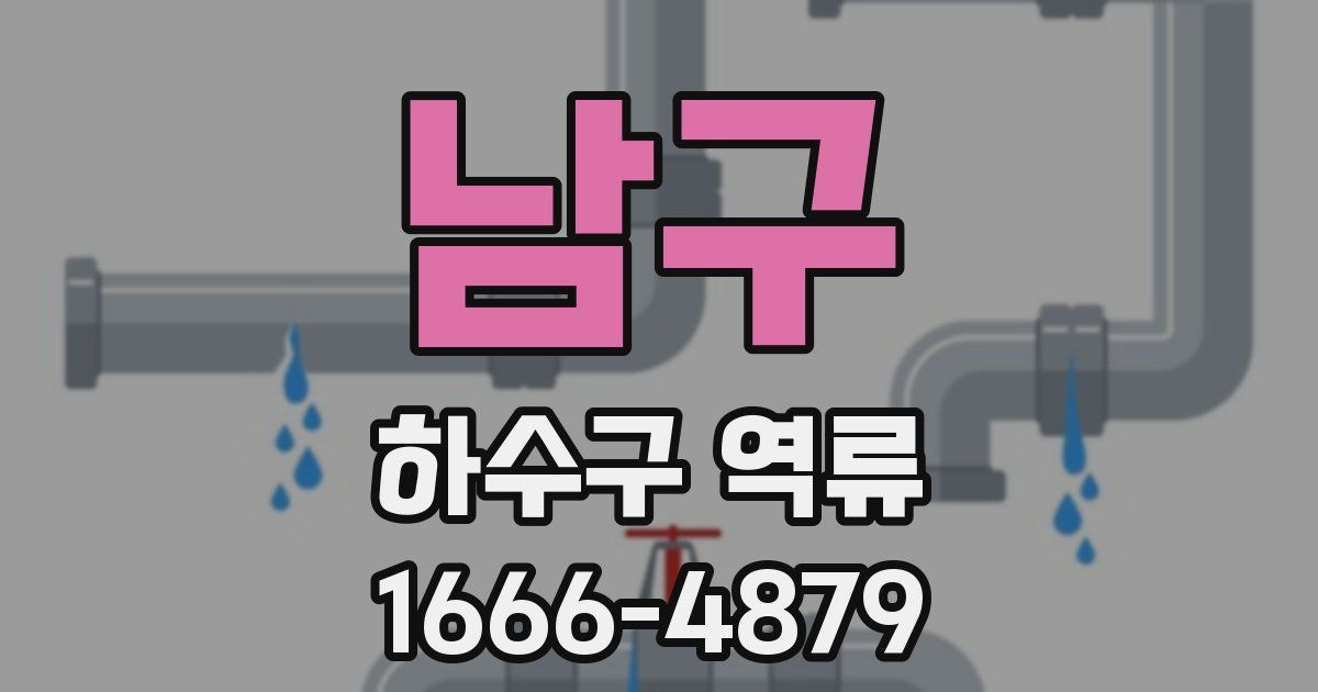 남구 하수구 역류