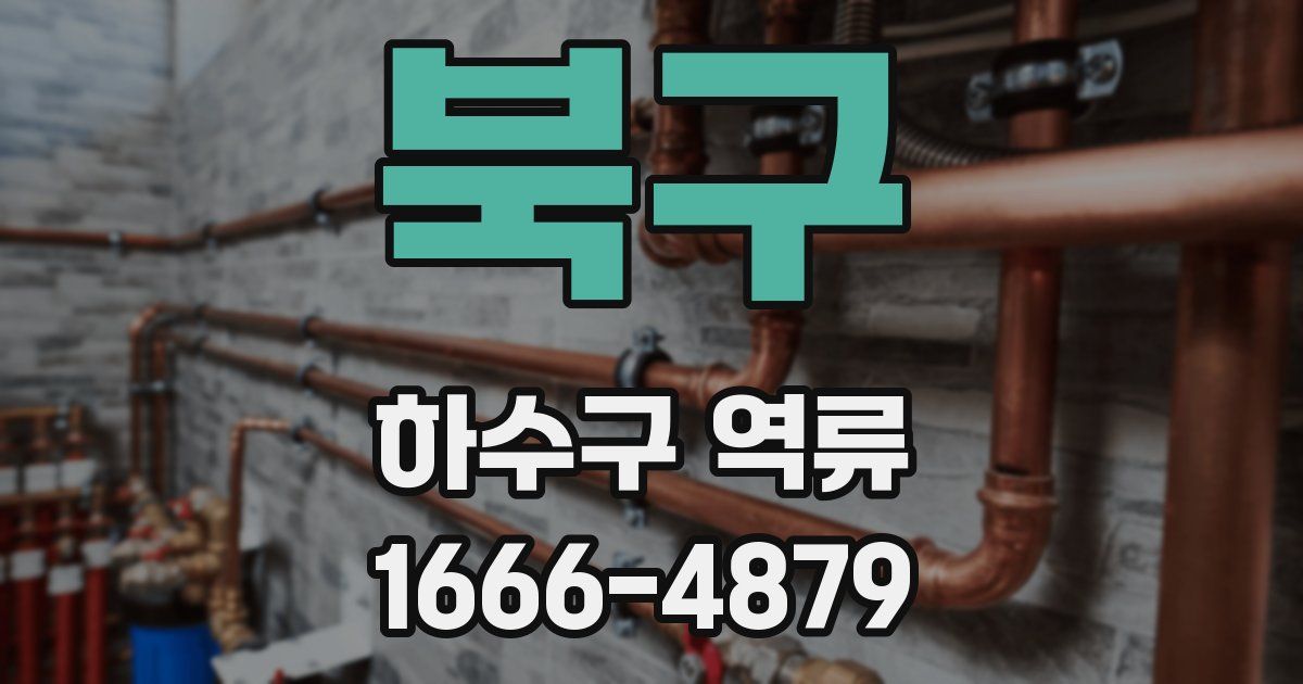 북구 하수구 역류