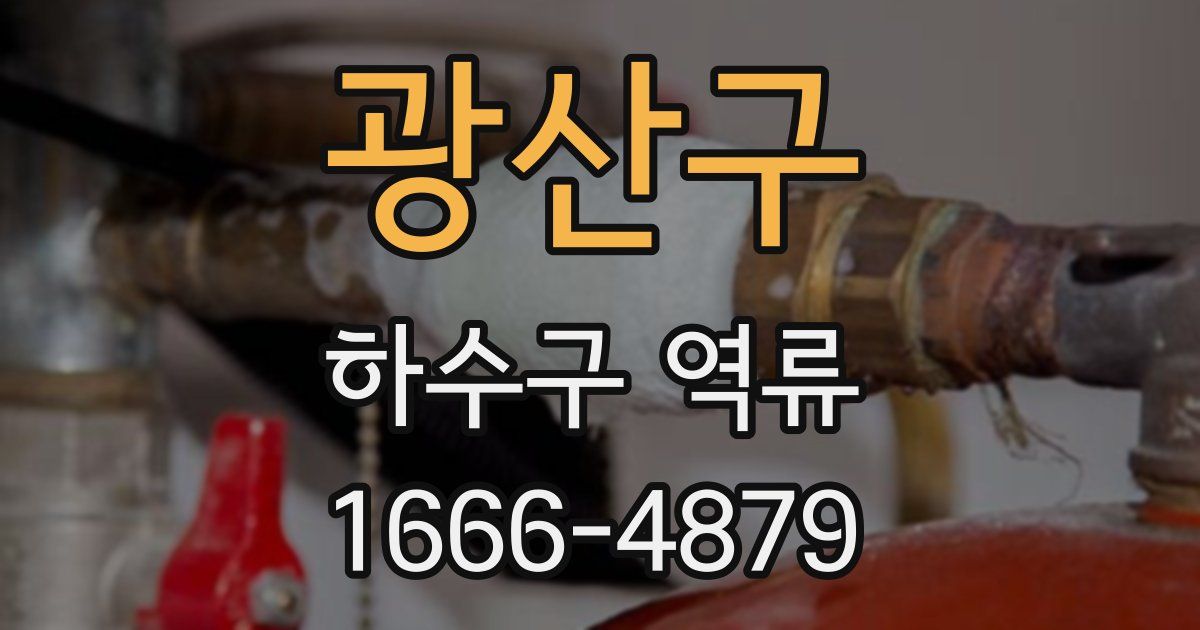 광산구 하수구 역류
