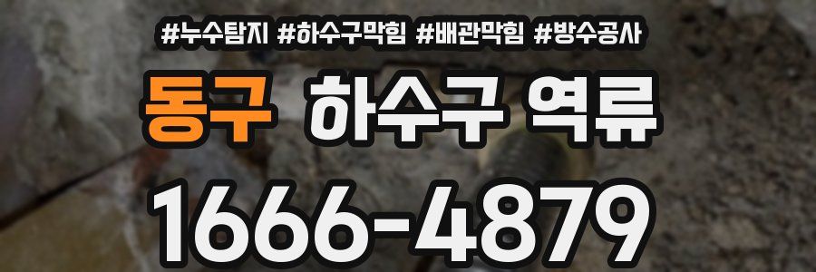동구 하수구 역류