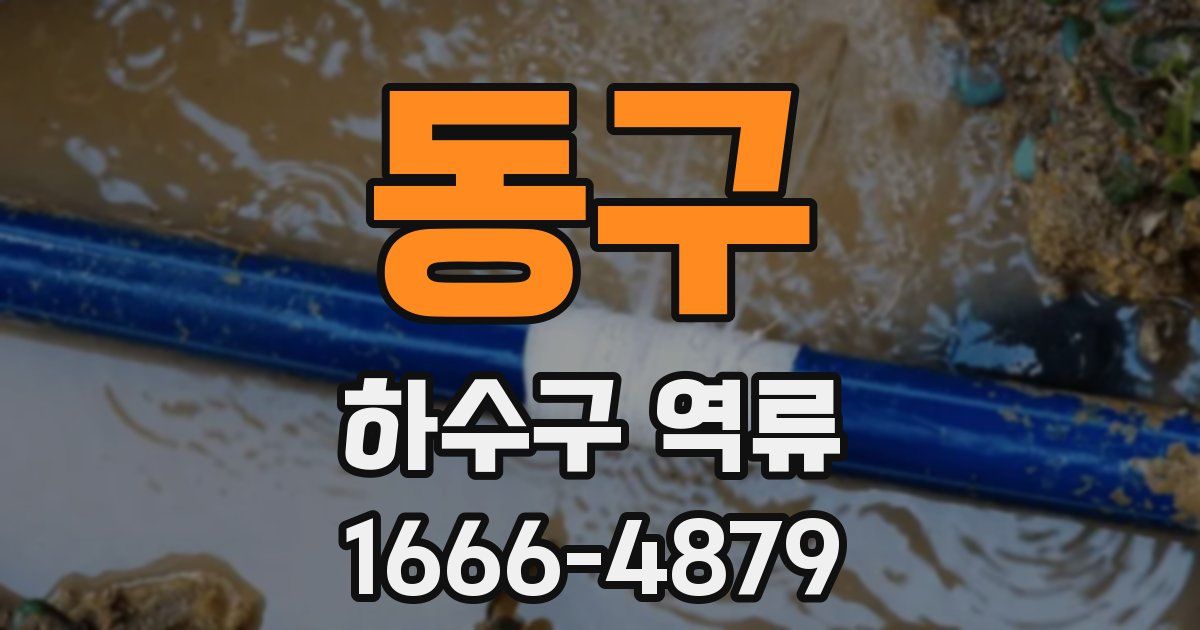 동구 하수구 역류