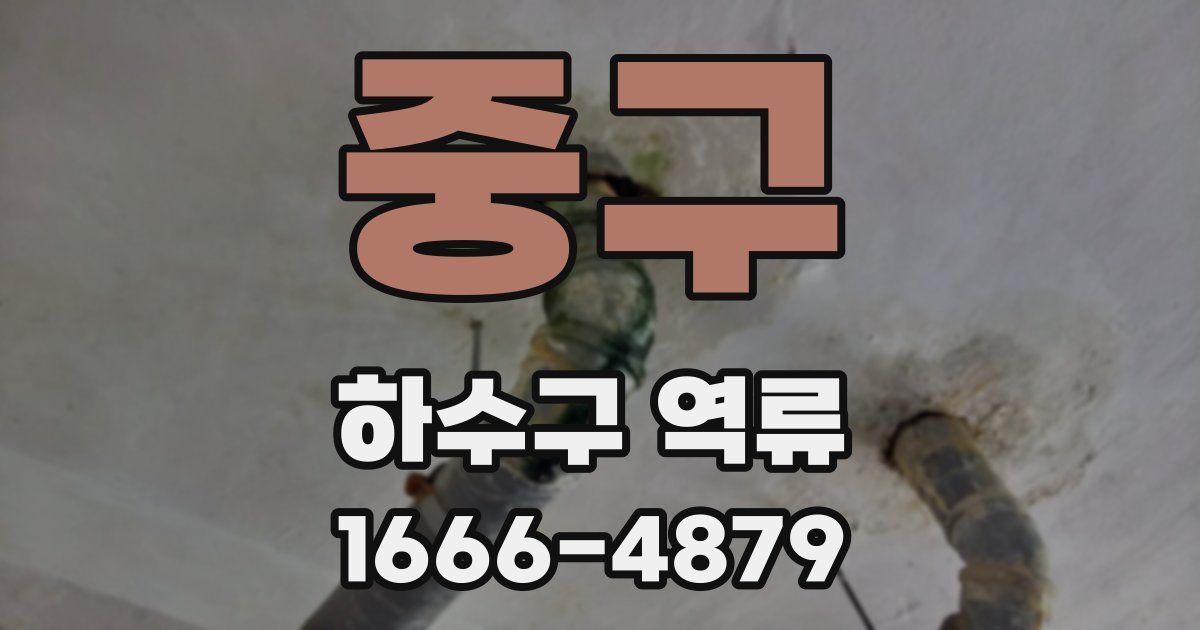중구 하수구 역류