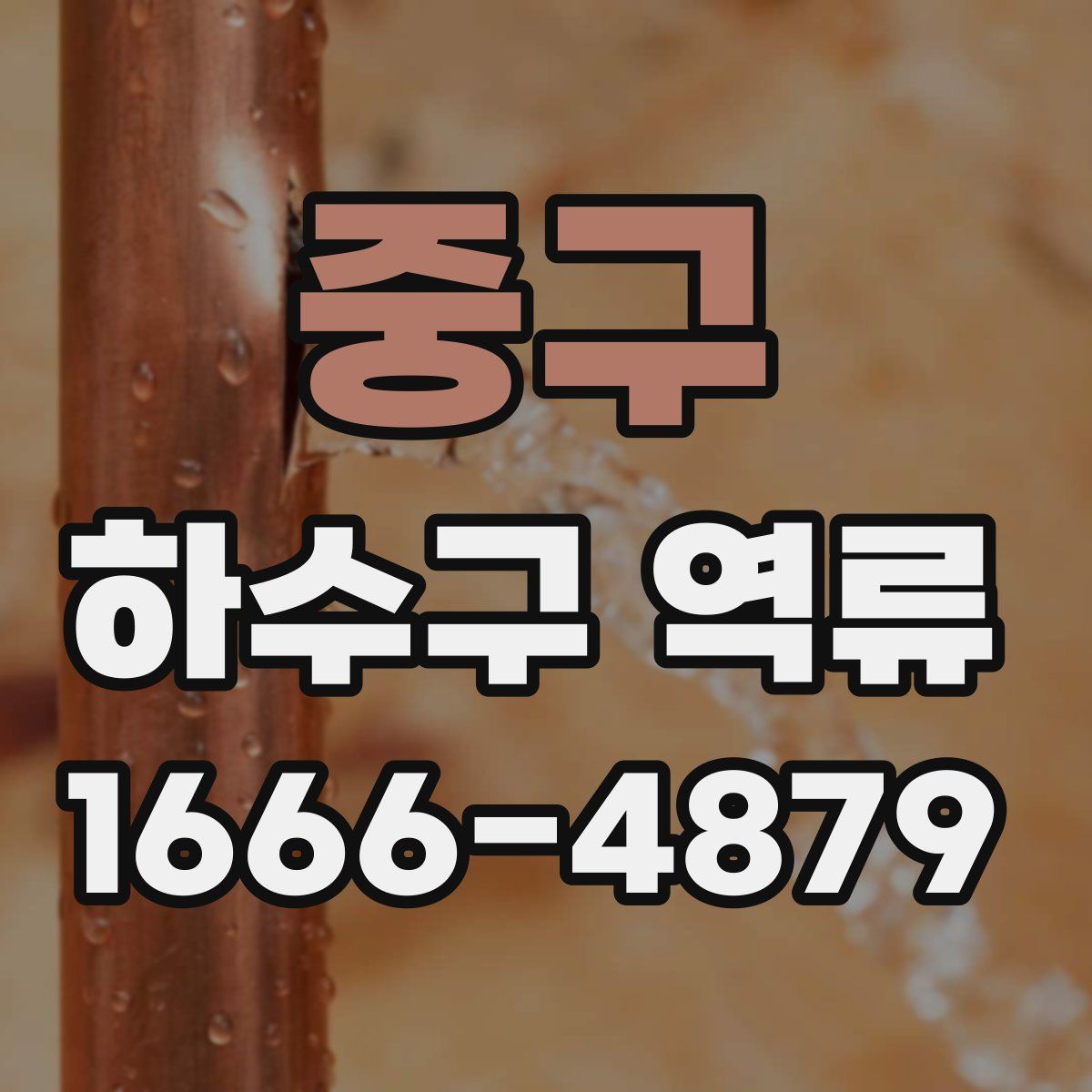 중구 하수구 역류