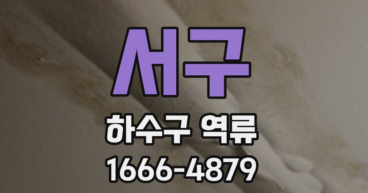 서구 하수구 역류