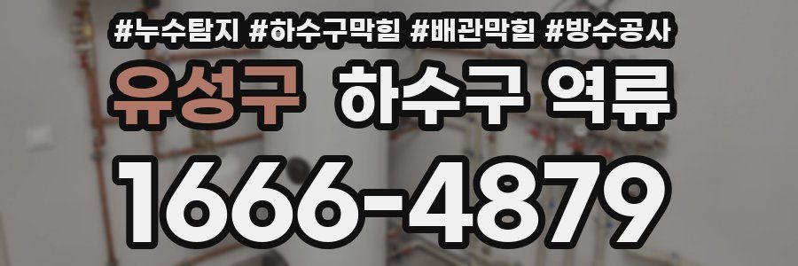 유성구 하수구 역류
