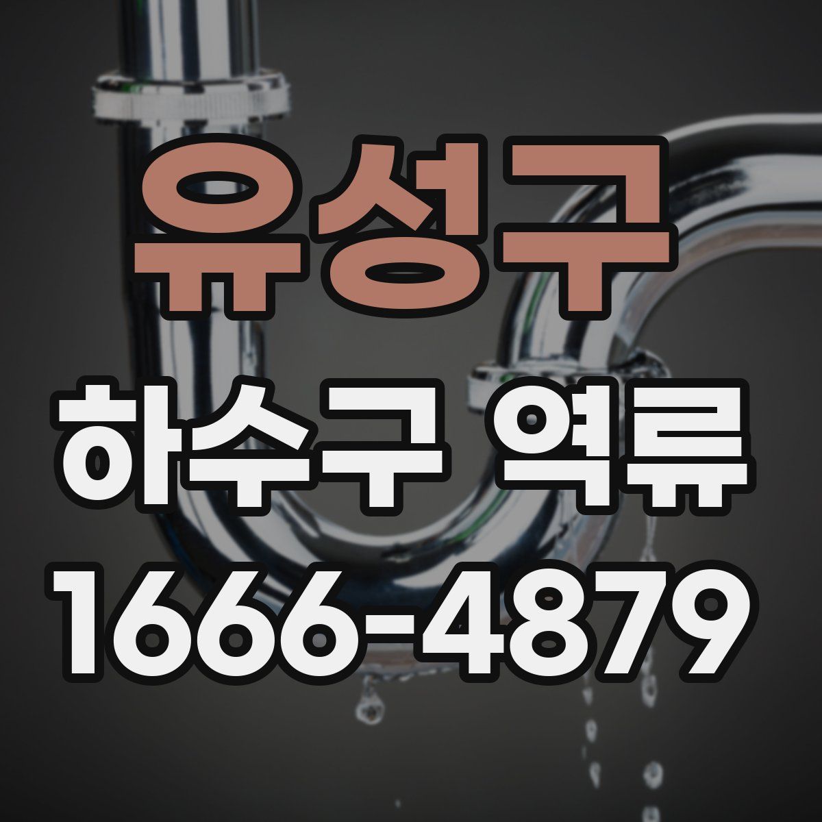 유성구 하수구 역류