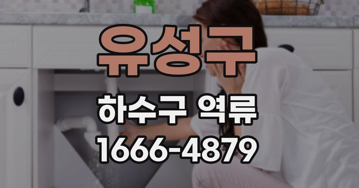 유성구 하수구 역류