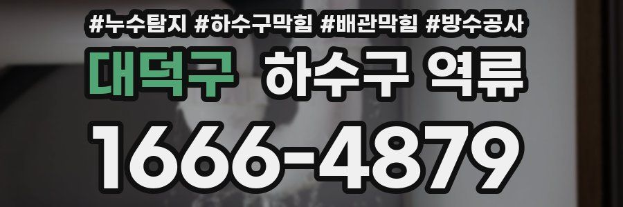 대덕구 하수구 역류
