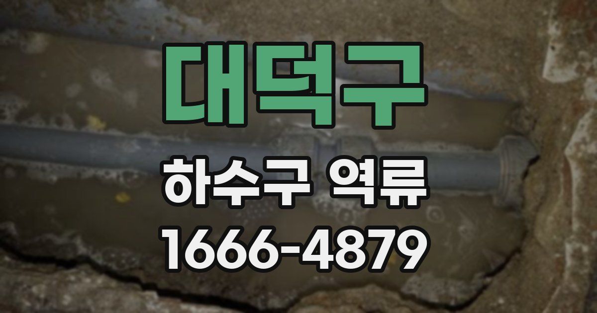 대덕구 하수구 역류