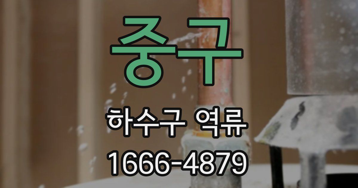 중구 하수구 역류