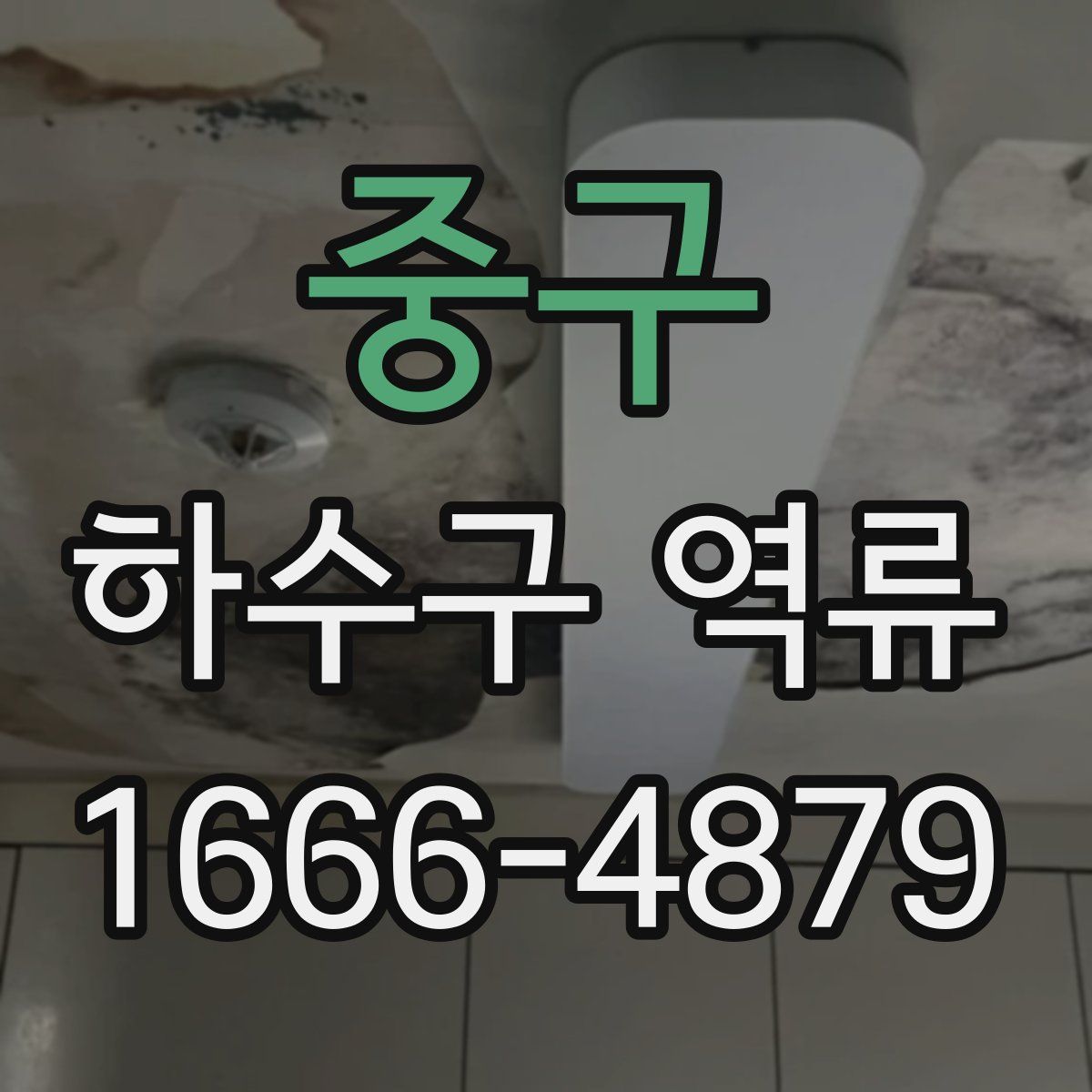 중구 하수구 역류