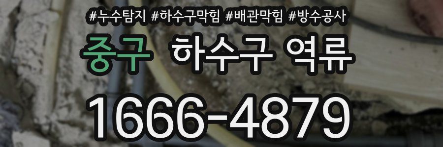 중구 하수구 역류