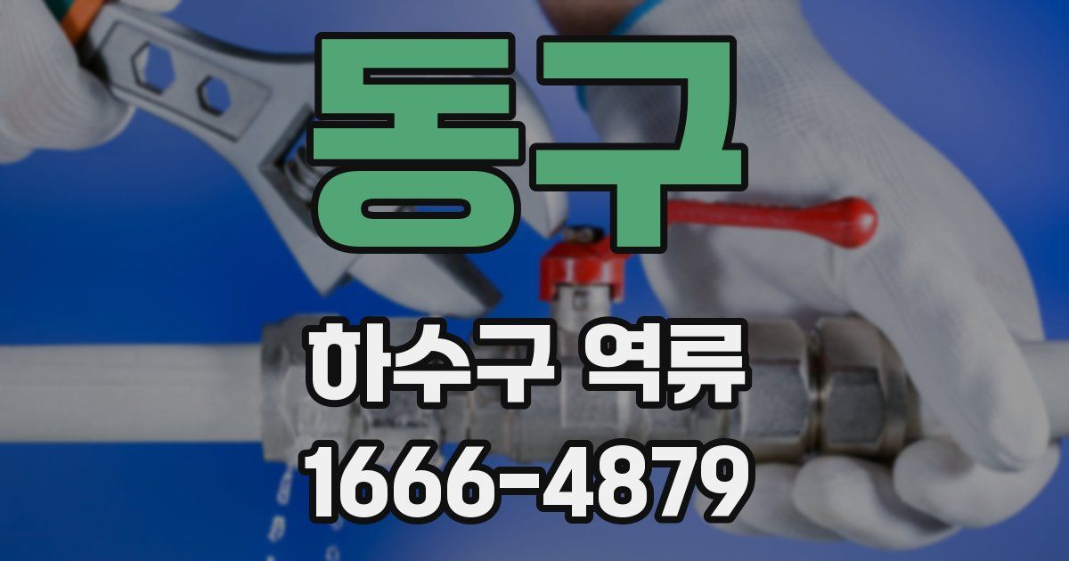 동구 하수구 역류