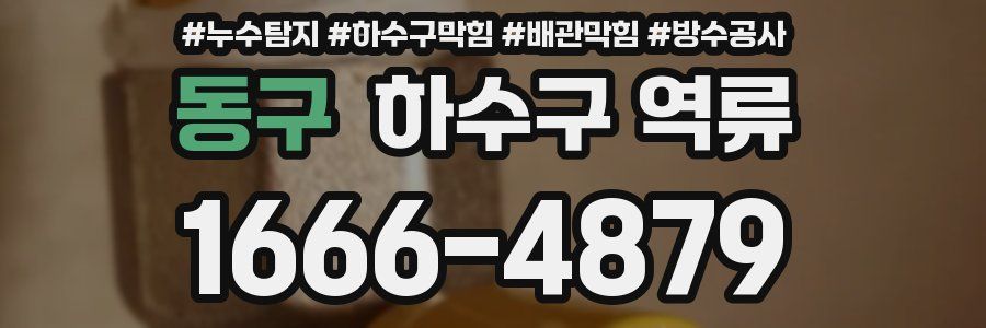 동구 하수구 역류