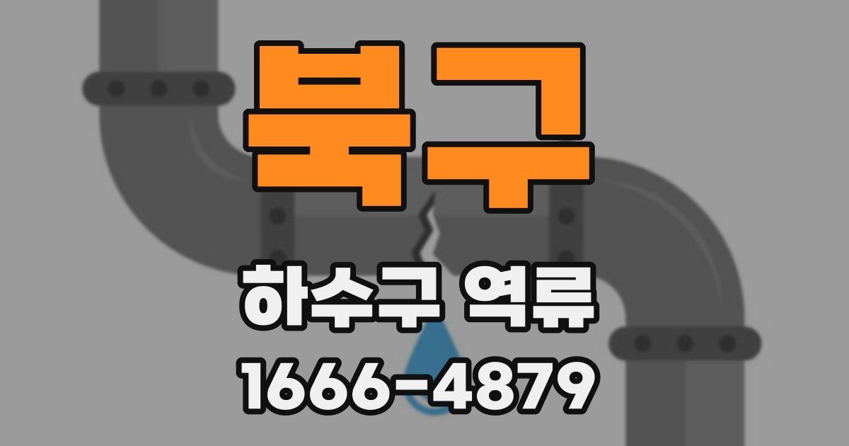 북구 하수구 역류