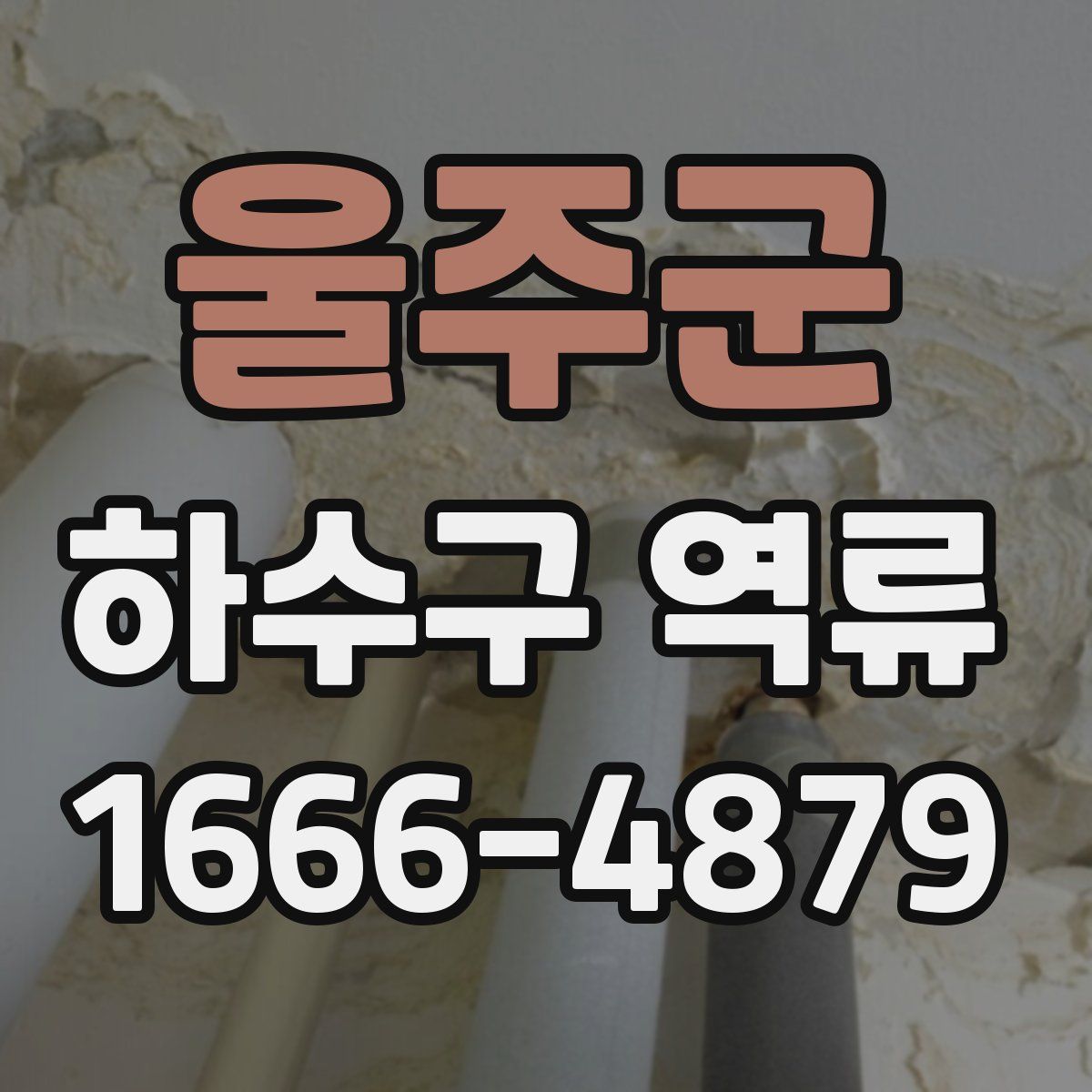 울주군 하수구 역류