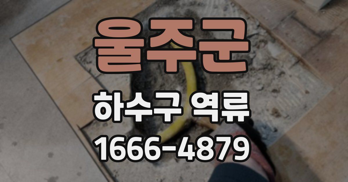 울주군 하수구 역류