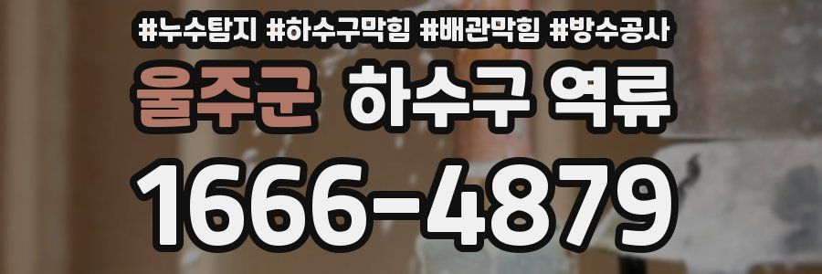 울주군 하수구 역류