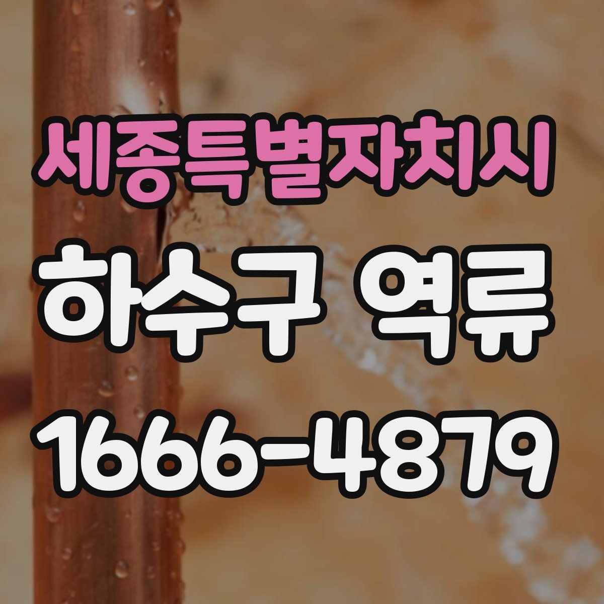 세종특별자치시 하수구 역류