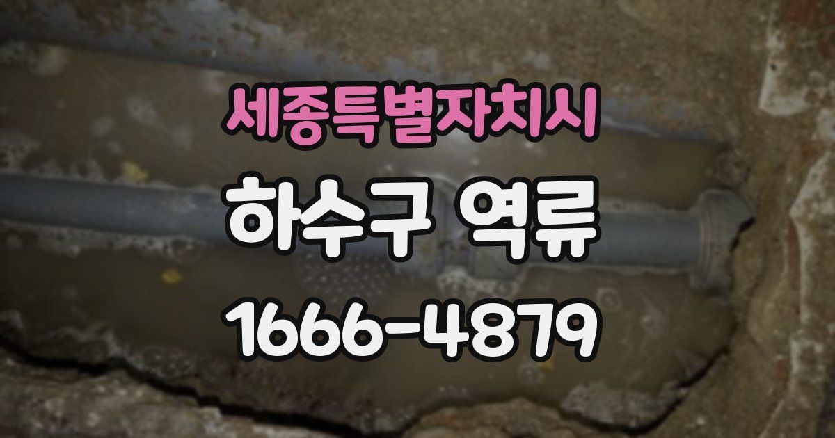 세종특별자치시 하수구 역류