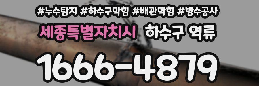 세종특별자치시 하수구 역류