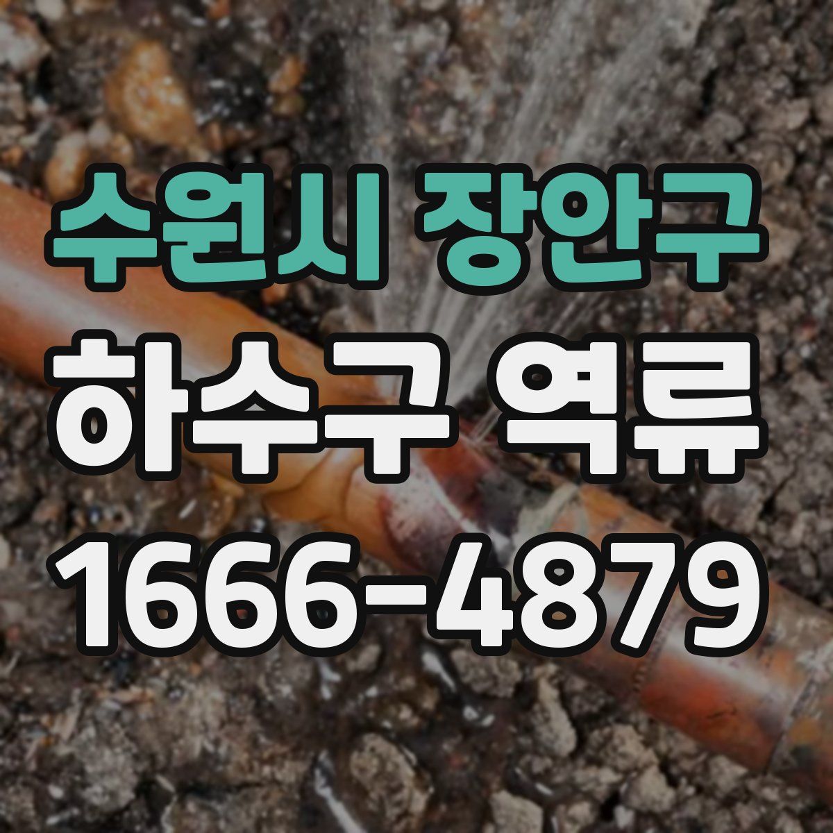 수원시 장안구 하수구 역류