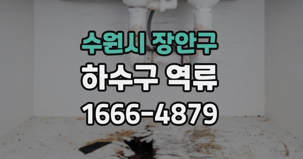 수원시 장안구 하수구 역류