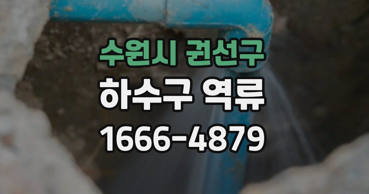 수원시 권선구 하수구 역류