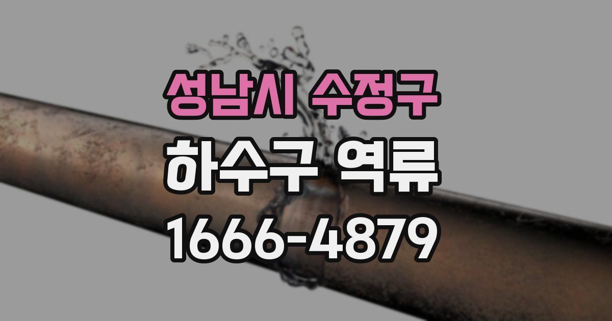 성남시 수정구 하수구 역류