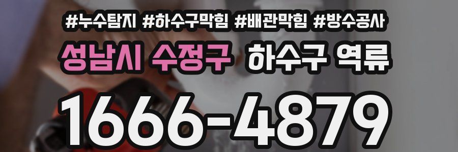 성남시 수정구 하수구 역류