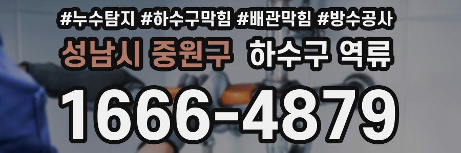 성남시 중원구 하수구 역류