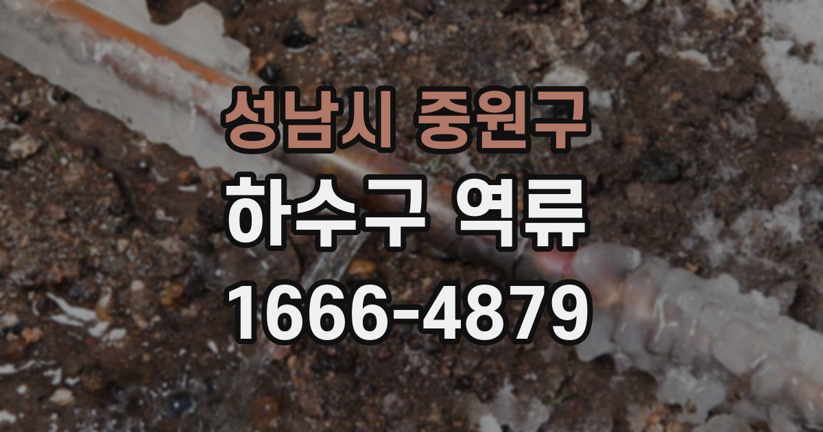 성남시 중원구 하수구 역류
