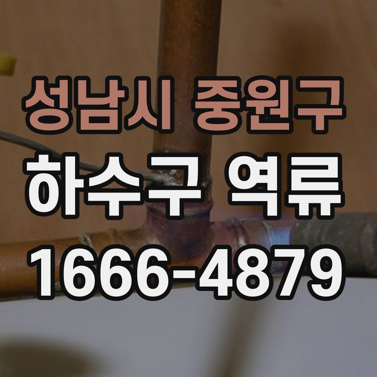 성남시 중원구 하수구 역류