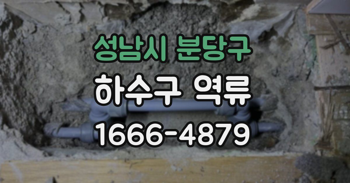 성남시 분당구 하수구 역류