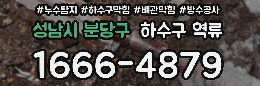 성남시 분당구 하수구 역류