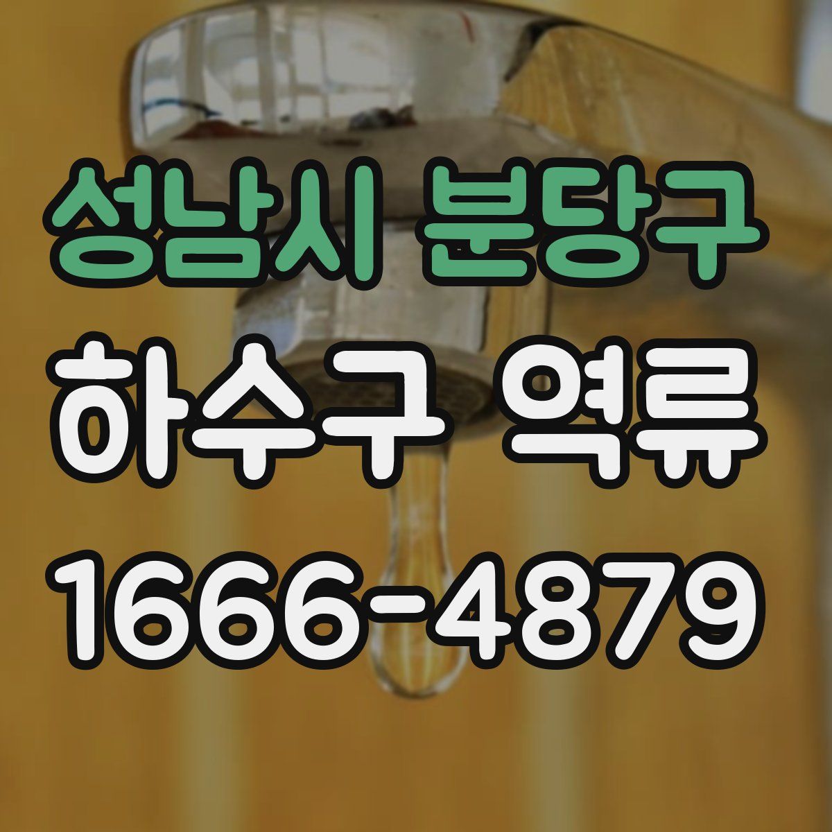 성남시 분당구 하수구 역류
