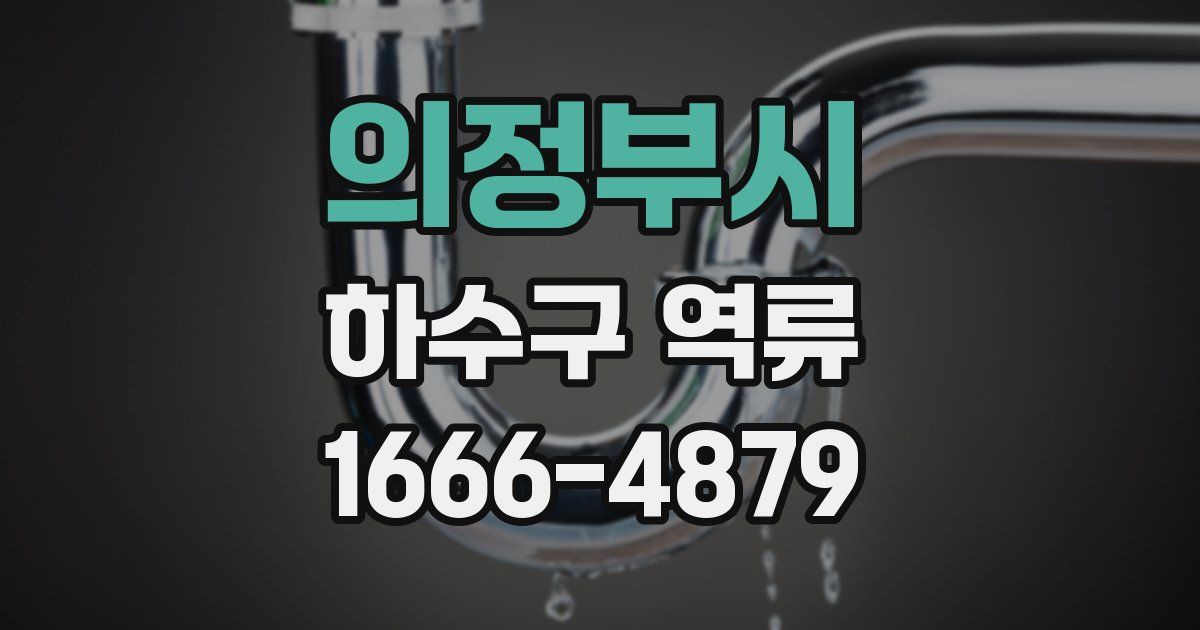 의정부시 하수구 역류