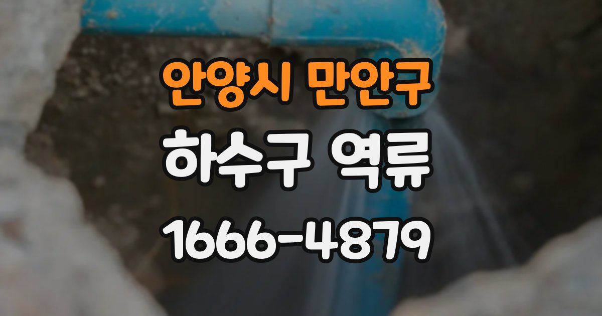 안양시 만안구 하수구 역류