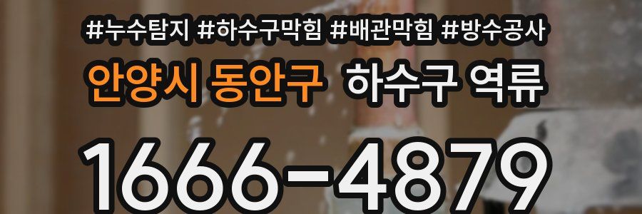 안양시 동안구 하수구 역류