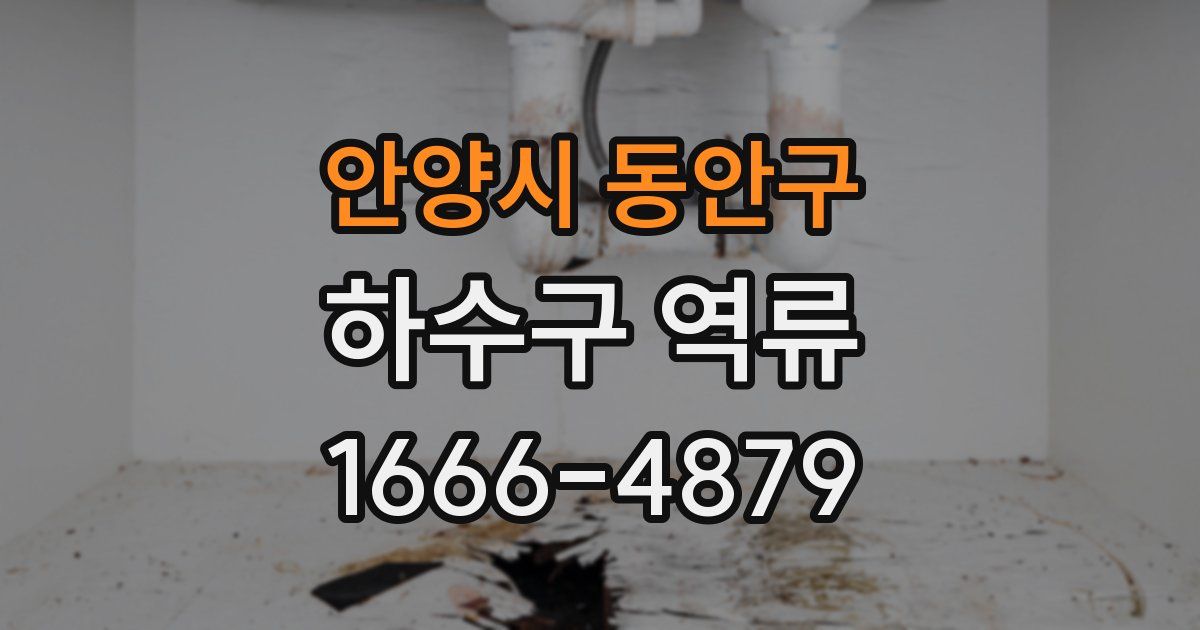안양시 동안구 하수구 역류