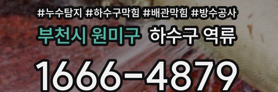 부천시 원미구 하수구 역류