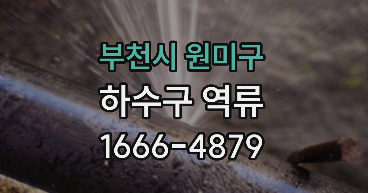 부천시 원미구 하수구 역류