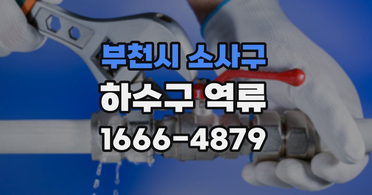 부천시 소사구 하수구 역류